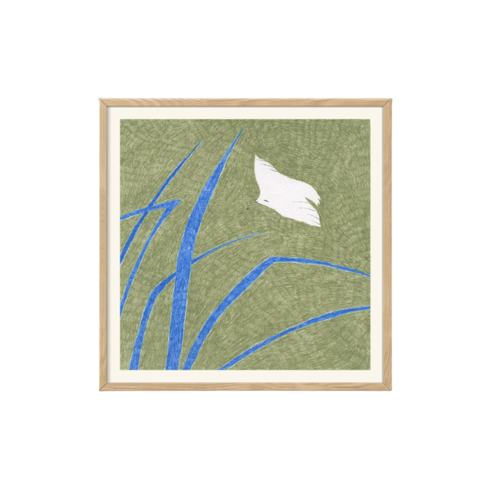 7 (2)